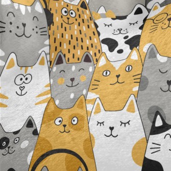 Cute And Silly Cat Minky