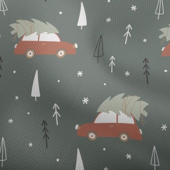 Transporting Christmas Tree Tr Dobby