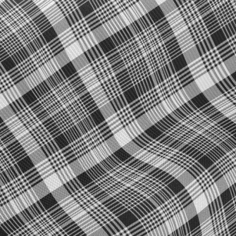 Gentleman Black And White Chec Twill