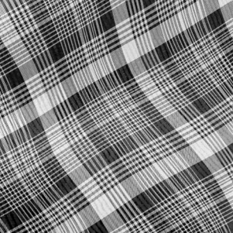 Gentleman Black And White Chec Standard Corduroy