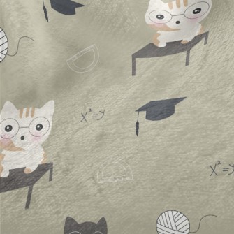 Cats Take Math Lessons Minky