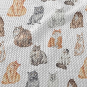 Hand Drawn Realistic Cat Breed Birdseye Piqué