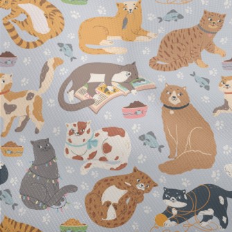 Naughty And Cute Cats Dobby