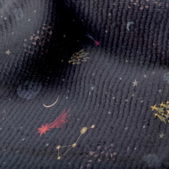 Meteorite Asteroid Terry