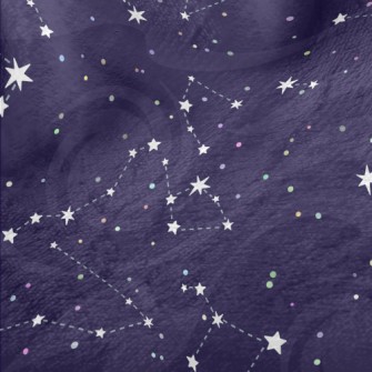 Dots, Lines, Stars Minky