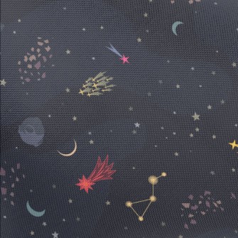 Meteorite Asteroid Pongee