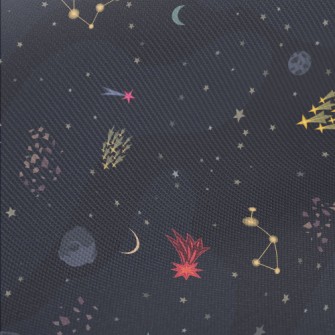 Meteorite Asteroid Midweight Cotton Poplin