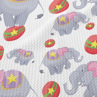 Circus Elephant Show Birdseye Piqué