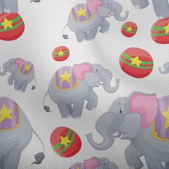 Circus Elephant Show Dobby