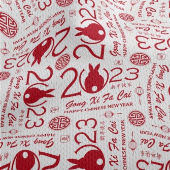 Modern Chinese Year Of The Rab Athletic Mesh Flat Back