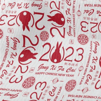 Modern Chinese Year Of The Rab Terry