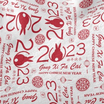 Modern Chinese Year Of The Rab Minky